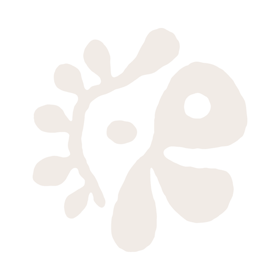 CORTIS OFFICIAL STORE