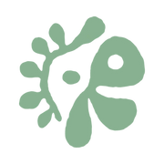 CORTIS OFFICIAL STORE logo