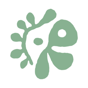 CORTIS OFFICIAL STORE